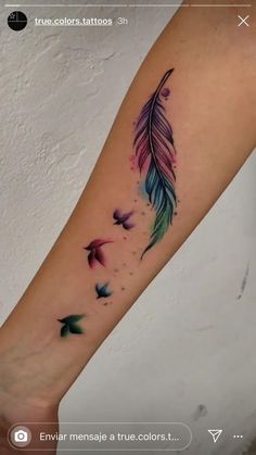 a colorful feather tattoo on the arm