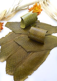 Olive Green Glossy Fish Leather Reduce Plastic Use, Tilapia Fish, Powder Dye, Real Fish, Different Fish, Japanese Fish, Fish Skin, Material Ideas, Leather Sewing