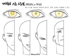 an anime character's face and eyes with different facial shapes, including the eyelide