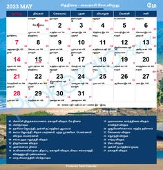 Tamil Nadu has 1 public holiday in May 2023. Number of bank holiday in May 2023 is 1. Calendar 2023 May, May 2023