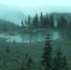 a lake surrounded by trees and grass in the middle of a foggy forest area