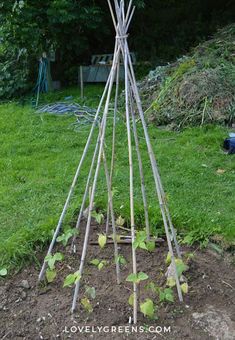 an old teepee is in the middle of a garden