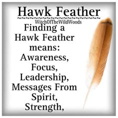 Witch Correspondence, Hawks Feather, Hawk Spirit, Hawk Feather