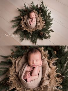 two photos of a newborn baby in a nest surrounded by pine cones and evergreen needles