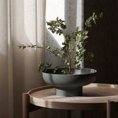 a potted plant sitting on top of a wooden table