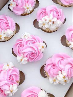 cupcakes with pink frosting and white flowers in a box