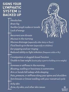 Lymph: The missing link in a liver detox Thinking about doing a detox cleanse or reducing your chemical exposure? If you've been following along with our Common Household Chemicals to Avoid series, you know how easy it can be to start removing harmful chemicals from your home. Many people get discouraged when they go o How To Pop Ears, Detox Your Liver, Lymph Massage, Full Body Detox, Detox Diet Plan, Kidney Cleanse, Massage Benefits, Lack Of Energy, Lymph Nodes