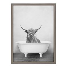 a black and white photo of a cow in a bathtub with horns on it's head