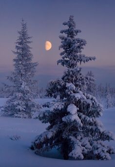 the full moon is setting over some snow covered trees