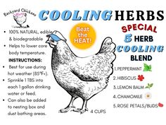 a poster describing the benefits of cooling herbs