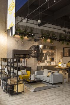 a living room filled with furniture and lots of plants hanging from the ceiling above it