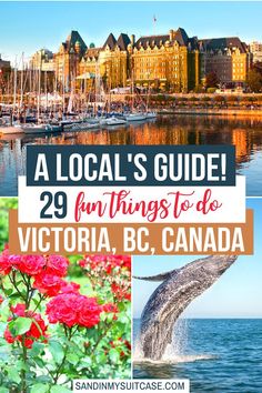 boats, flowers and buildings with text overlay that reads a local's guide 23 fun things to do victoria, bc canada