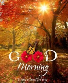 the words good morning are displayed in front of an image of trees with leaves and flowers