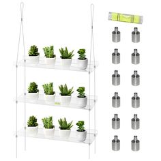 a shelf filled with lots of potted plants