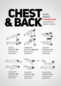 the chest and back workout poster