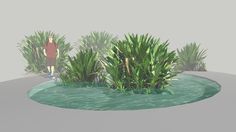 a man is standing in the middle of a pond surrounded by grass and plants,