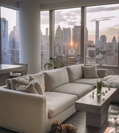 a dog laying on the floor in front of a living room with high rise windows