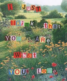 a field with flowers and words that spell out what you are, i just think that you are what you love