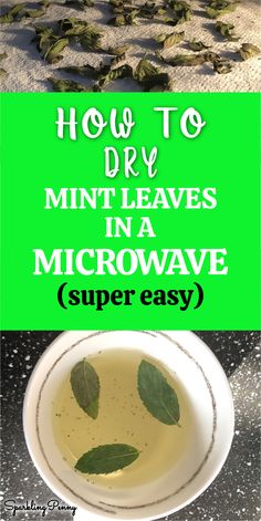 how to dry mint leaves in a microwave super easy recipe for the winter and spring