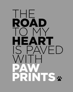 the road to my heart is paved with paw prints poster by naxart art