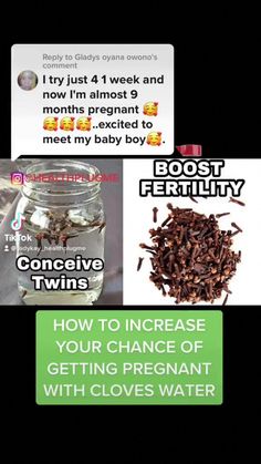 How To Boost Fertility, Foods To Get Pregnant, Herbs For Fertility, Natural Fertility Boosters, Health Herbs, Fertility Nutrition, How To Get Pregnant, Healthy Juice Drinks, Fertility Supplements