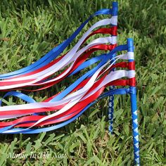 several red, white and blue streamers are in the grass with green grass behind them