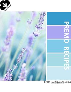 the color scheme is lavender and blue