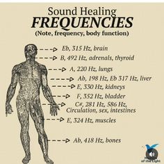 Alternative Medicine Holistic Healing, Sound Frequency, Chakra Health, Reflexology Chart, Energy Healing Spirituality, Health Heal, Healing Frequencies