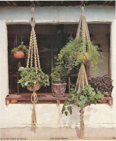 three hanging planters filled with plants in front of a window