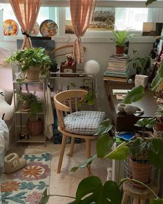 a living room filled with lots of plants and furniture