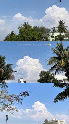 the sky is filled with clouds and palm trees in different stages of being photographed from ground level