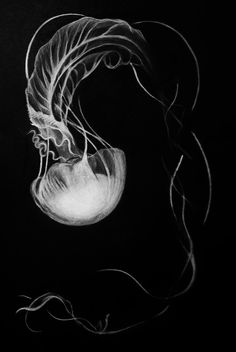 a black and white drawing of a jellyfish