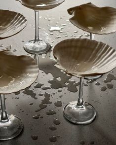 four wine goblets filled with liquid on top of a wet surface, in the shape of seashells