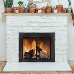 a fire place with potted plants on the mantle