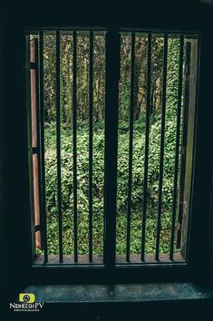 an open window with bars on the outside and green plants in the backround