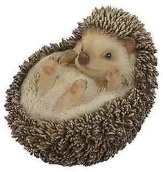 a small hedgehog curled up in a ball