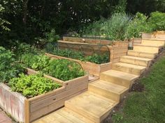 an outdoor garden with wooden steps leading up to it and lots of plants growing in the planter boxes