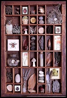 a wooden box filled with lots of different types of rocks and shells on top of each other