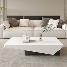 a living room with a couch, coffee table and potted plant in the center