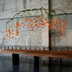 a wooden bench sitting in front of a wall with orange flowers hanging from it's branches