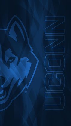 a blue background with the word wisconsin on it and an image of a wolf's head