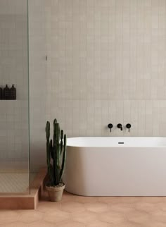 a white bath tub sitting next to a green cactus in a vase on the floor