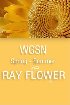 a yellow flower with the words wgsn spring - summer 2012 ray flower on it