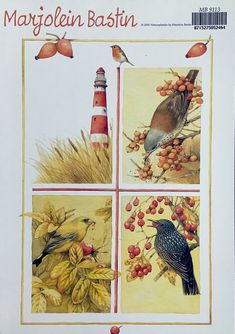 the front cover of a book with birds and berries on it, including a lighthouse