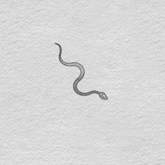 a drawing of a snake on white paper