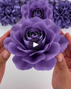 two hands holding purple paper flowers in front of white background