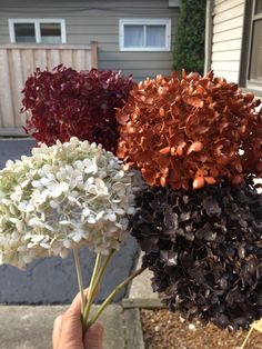 a hand holding three different colored flowers in front of a house