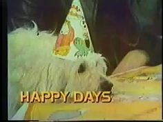 a dog wearing a party hat with the words happy days on it's side