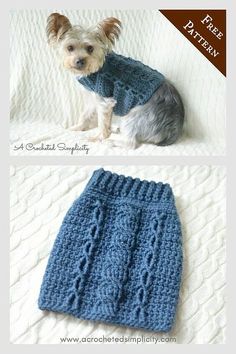 a small dog wearing a blue knitted sweater sitting on top of a white bed