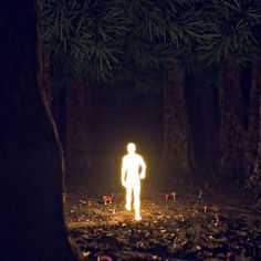 a man standing in the middle of a forest at night